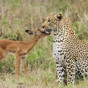 Meet your Posher, Eva